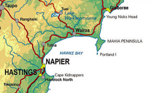 napier mahia map