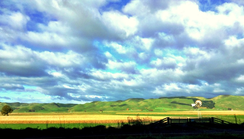 The beautiful rolling hills of Hawke's Bay on the road to Waipukurau.