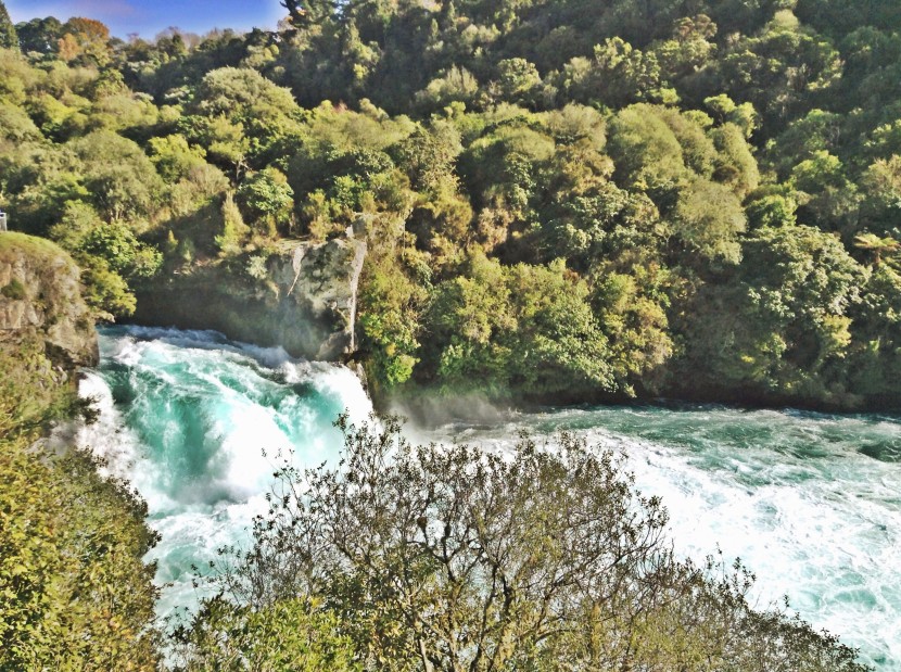 In Taupo, we saw the icy blue Huka Falls, where over 200,000 litres of water go over the 9m drop every second.  Apparently that's enough to fill 5 Olympic-sized swimming pools every minute.